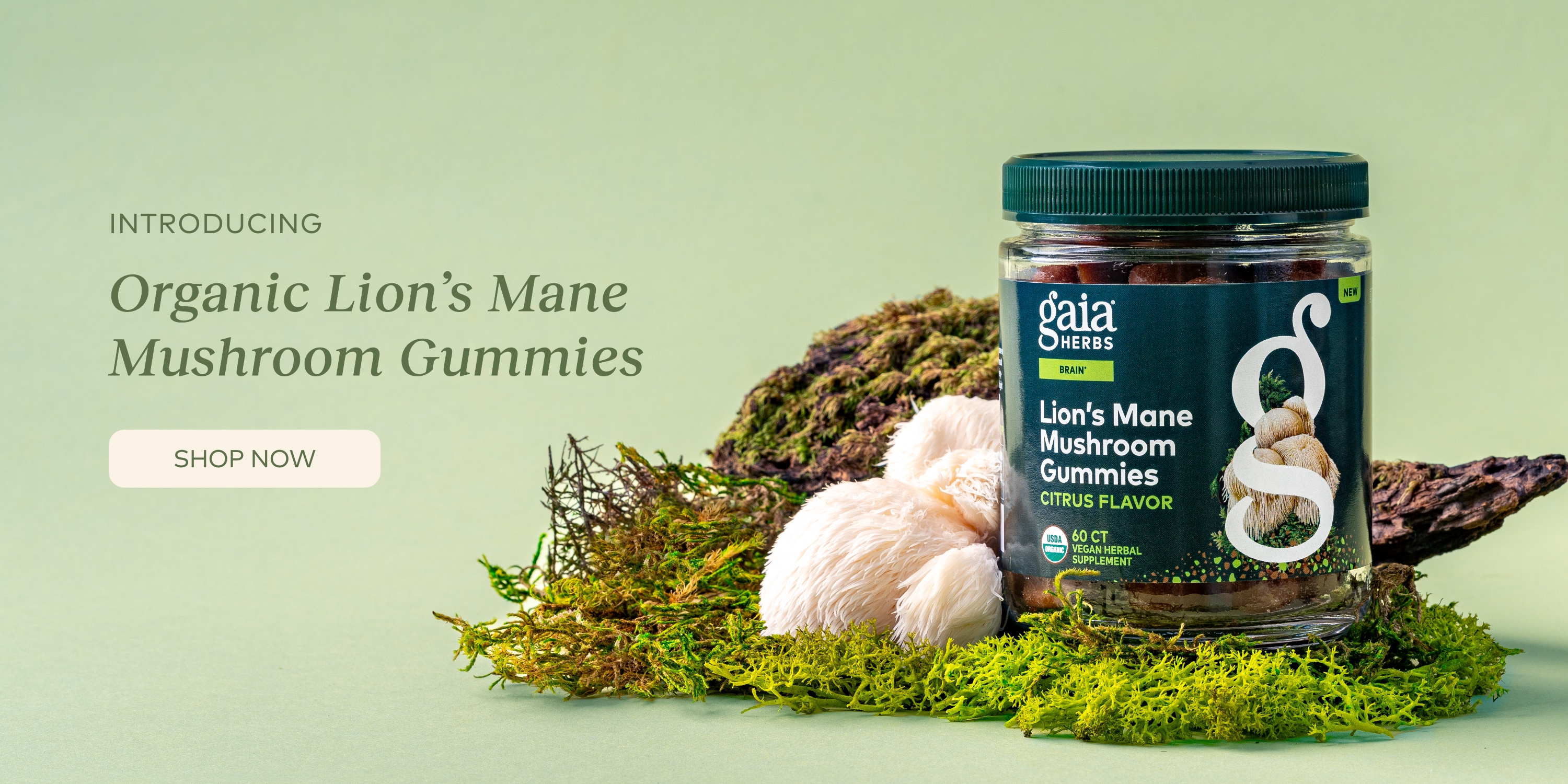 Nurture Your Nature with Gaia