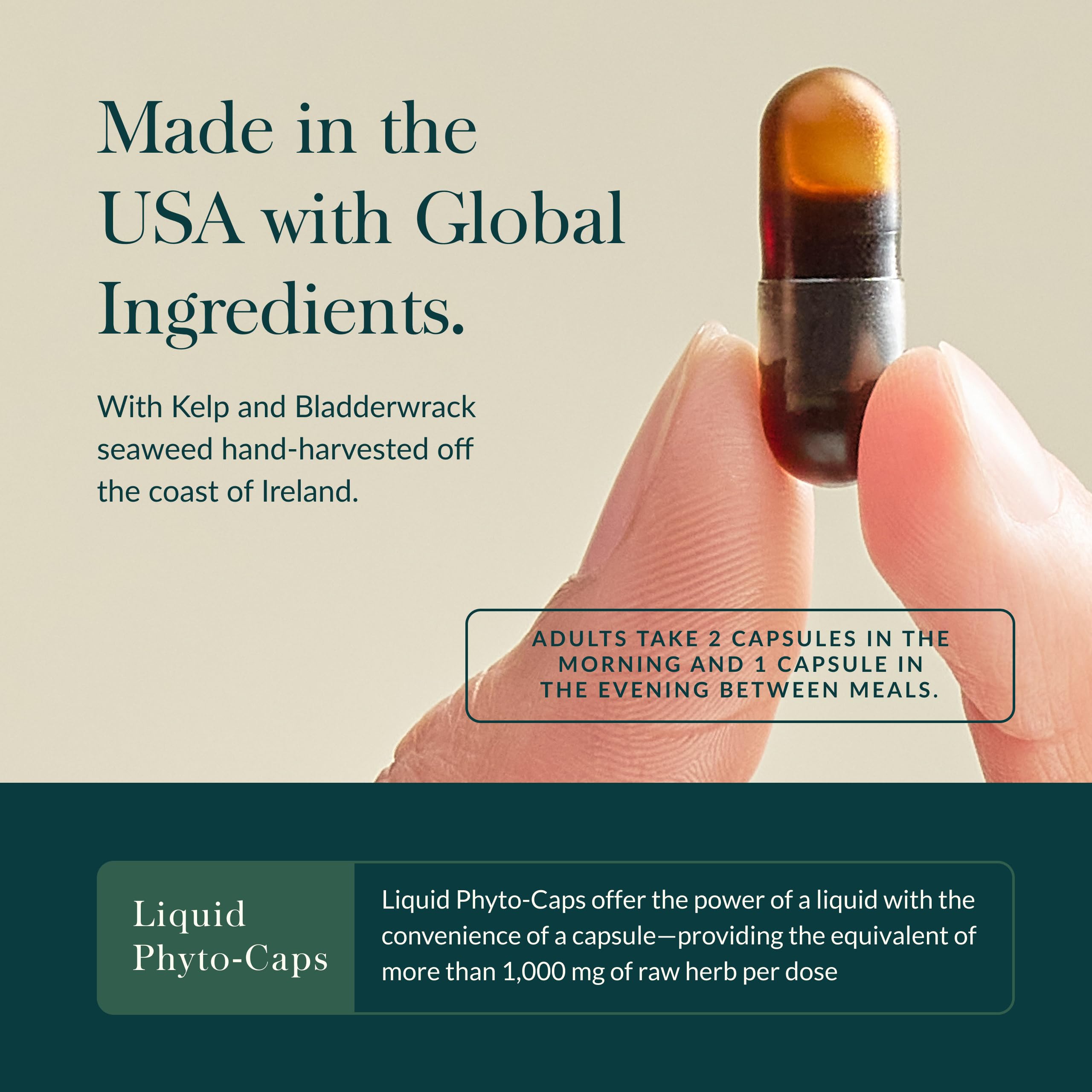Gaia Herbs Thyroid Support - Made with Ashwagandha, Kelp, Brown Seaweed & Schisandra to Support Healthy Metabolic Balance & Overall Well-Being* - 120 Vegan Liquid Phyto-Caps (60 Servings) - Image 4