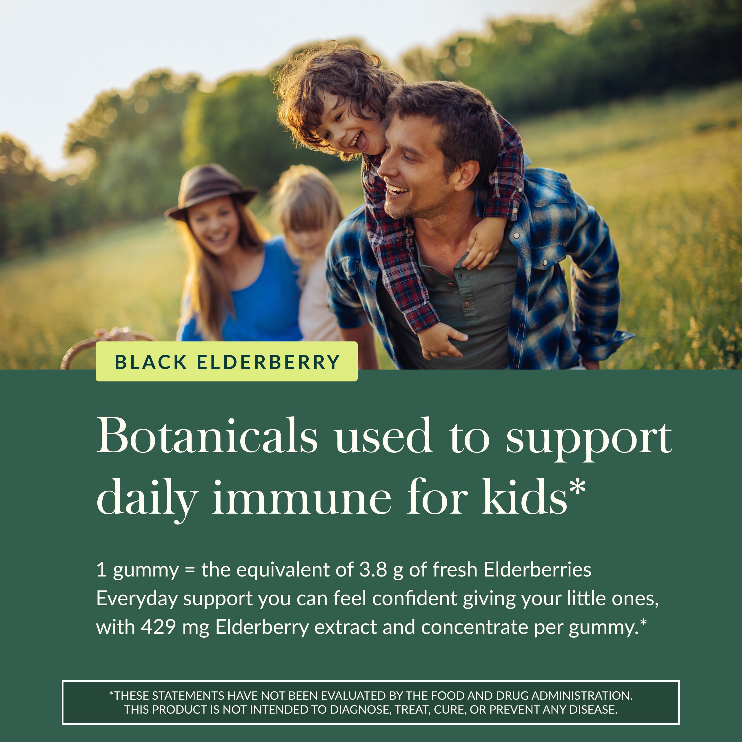 Gaia Herbs Black Elderberry Daily Gummies for Kids - Delicious Immune Support Supplement - Certified Organic Black Elderberries for Immune System Support* - 40 Vegan Gummies (40 Servings) - Image 5