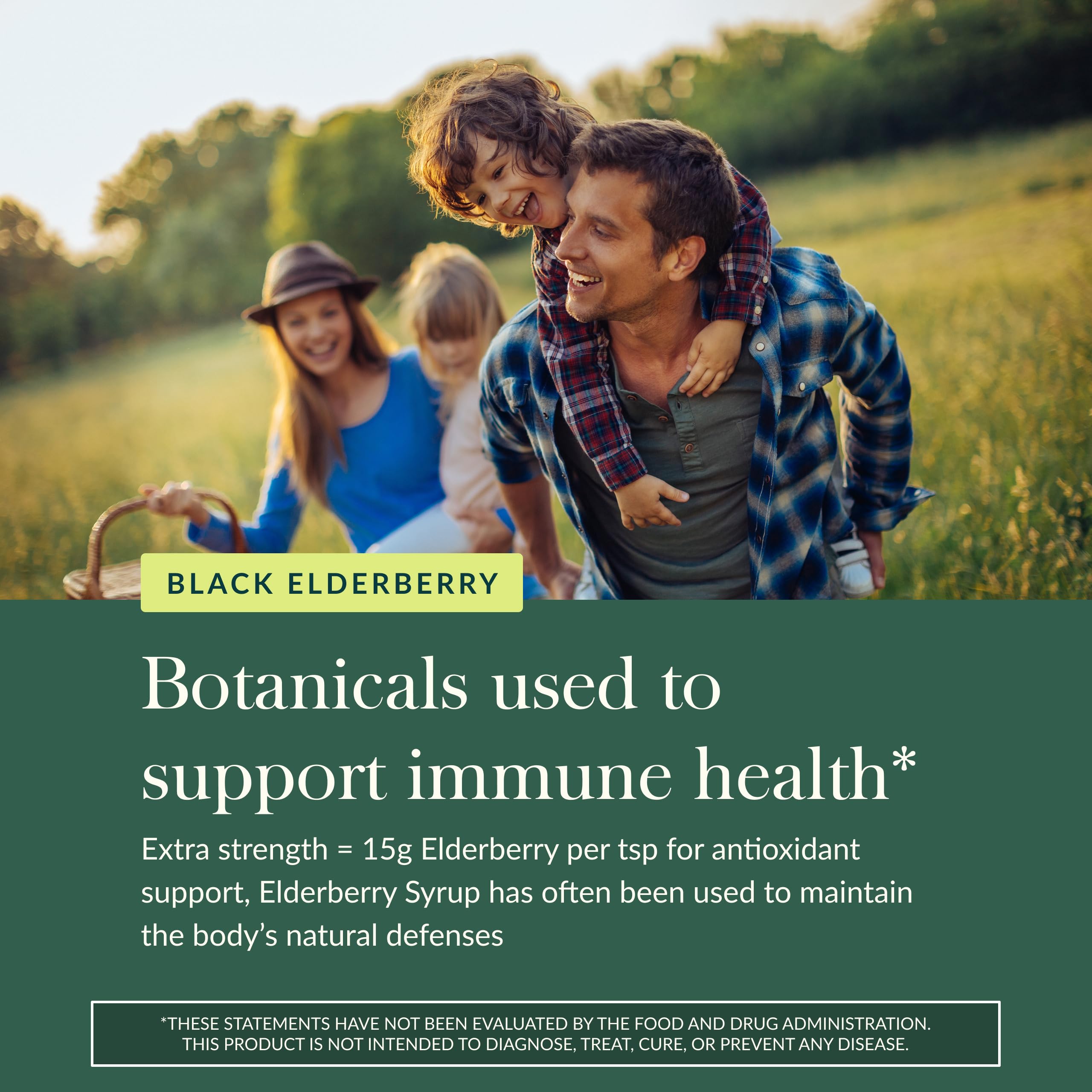 Gaia Herbs Black Elderberry Syrup - Made with Organic Black Elderberries (Sambucus nigra) for Immune System Support* - USDA Certified Organic Formula - 5.4 Fl Oz (About 32 to 128 Servings) - Image 5