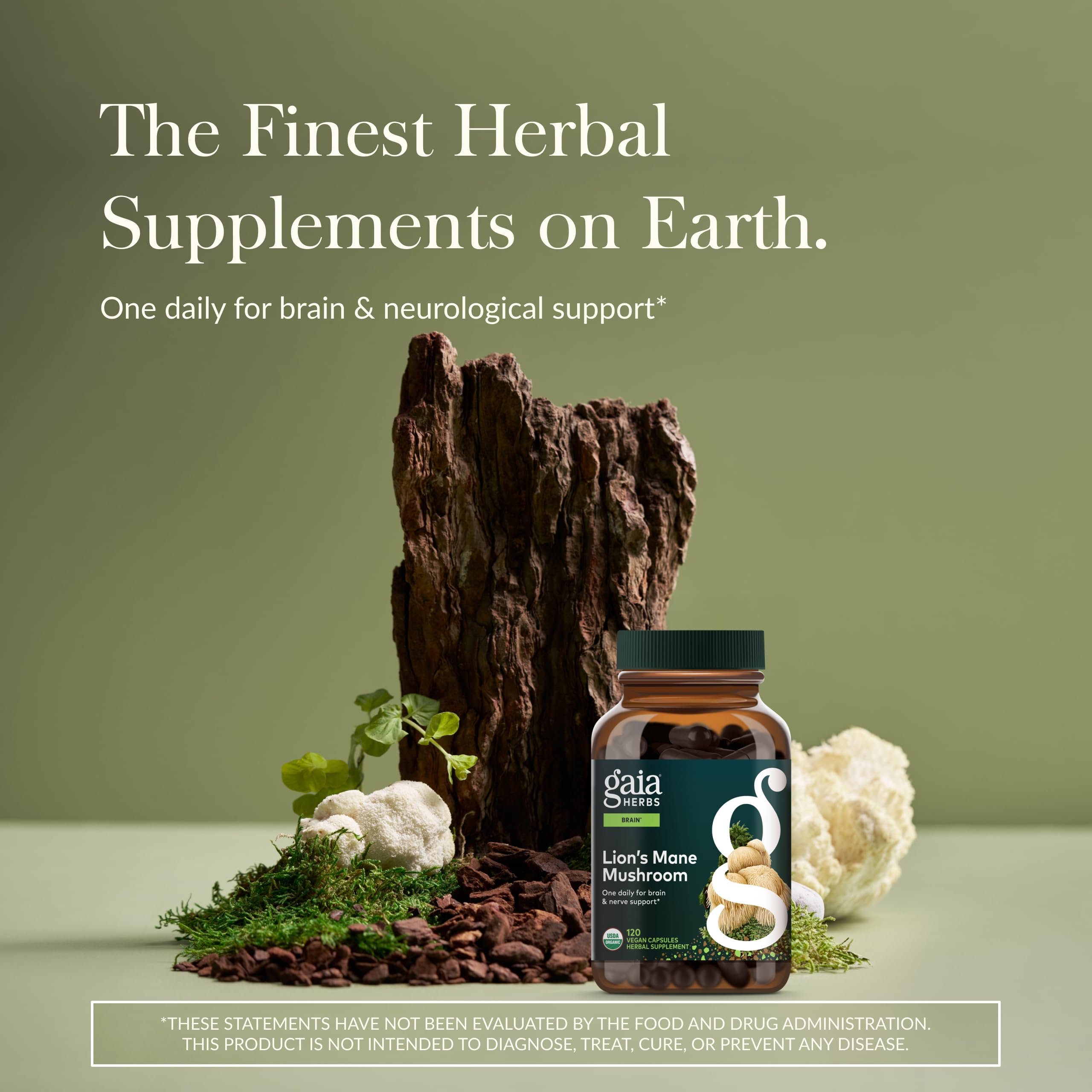 Gaia Herbs Lion’s Mane Mushroom - Brain & Nerve Health Support* - 120 Vegan Liquid Phyto-Capsules & Holy Basil Leaf - Traditionally Used to Support Stress Response*- 120 Phtyo-Cap - Bundle (Pack of 2) - Image 4