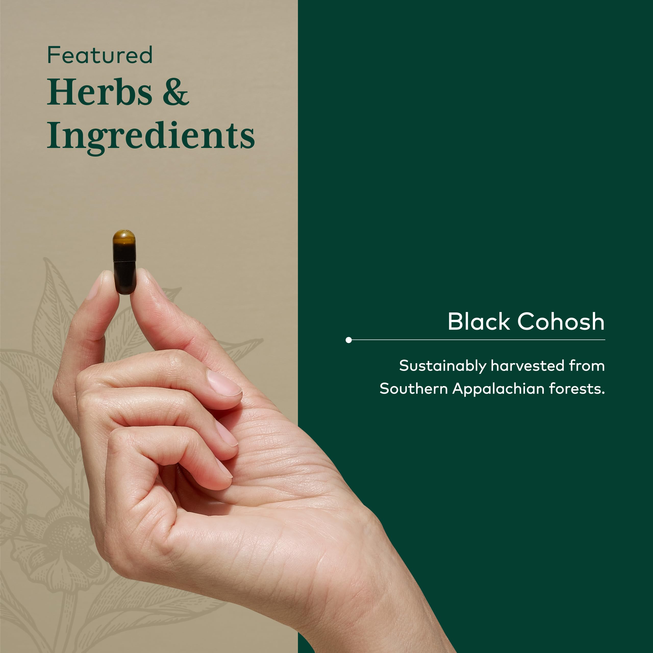 GAIA HERBS PRO Black Cohosh PRO - Healthy Perimenopause & Post Menopause Support Supplement* - Women's Health Supplement with Black Cohosh Root Extract - Vegan - 60 Liquid Phyto-Caps (60 Servings) - Image 4
