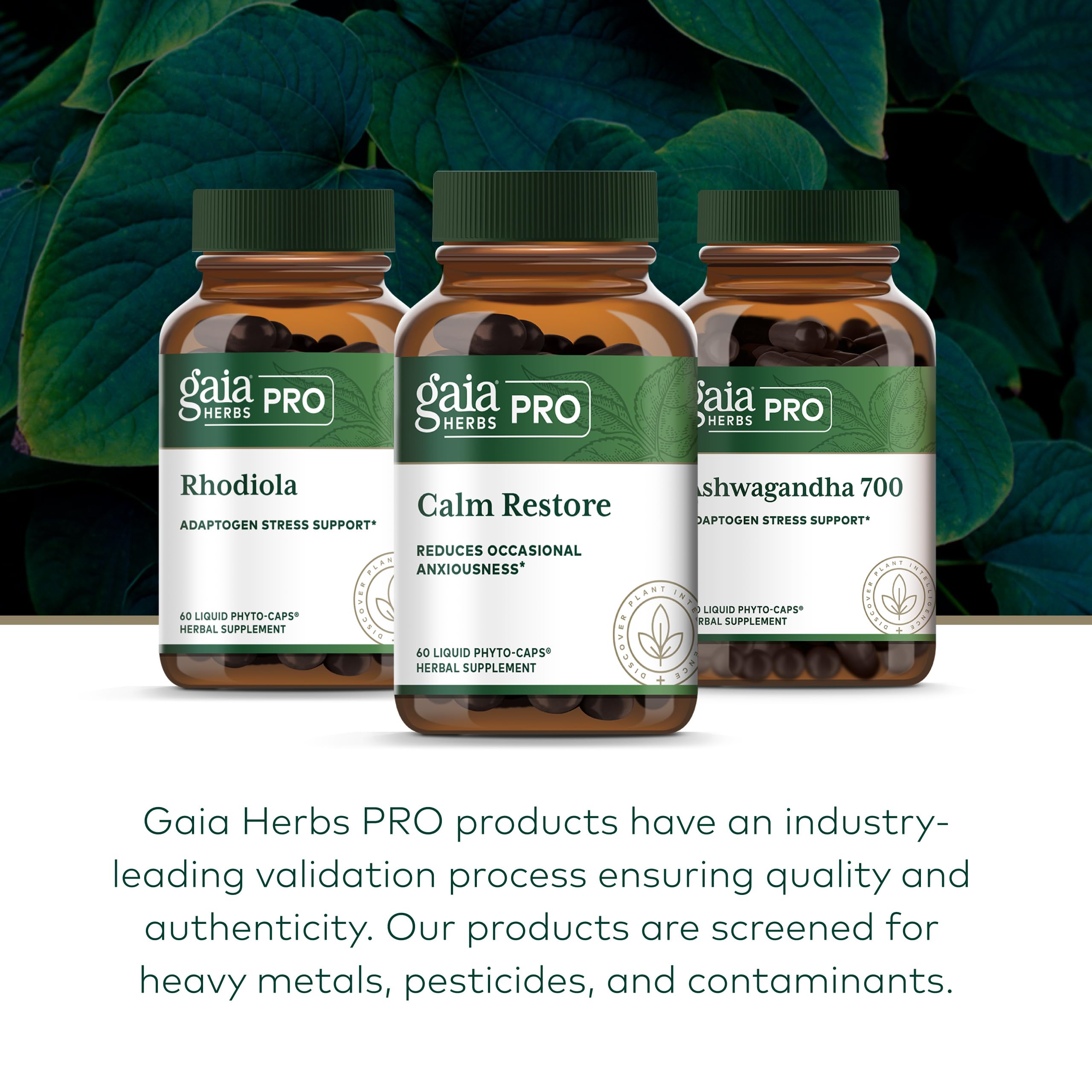GAIA HERBS PRO Calm Restore - Nervous System Support Supplement* - Calm Support Supplement* with Skullcap, Chamomile, Holy Basil & Lavender - 60 Liquid Phyto-Caps (20 Servings) - Image 6