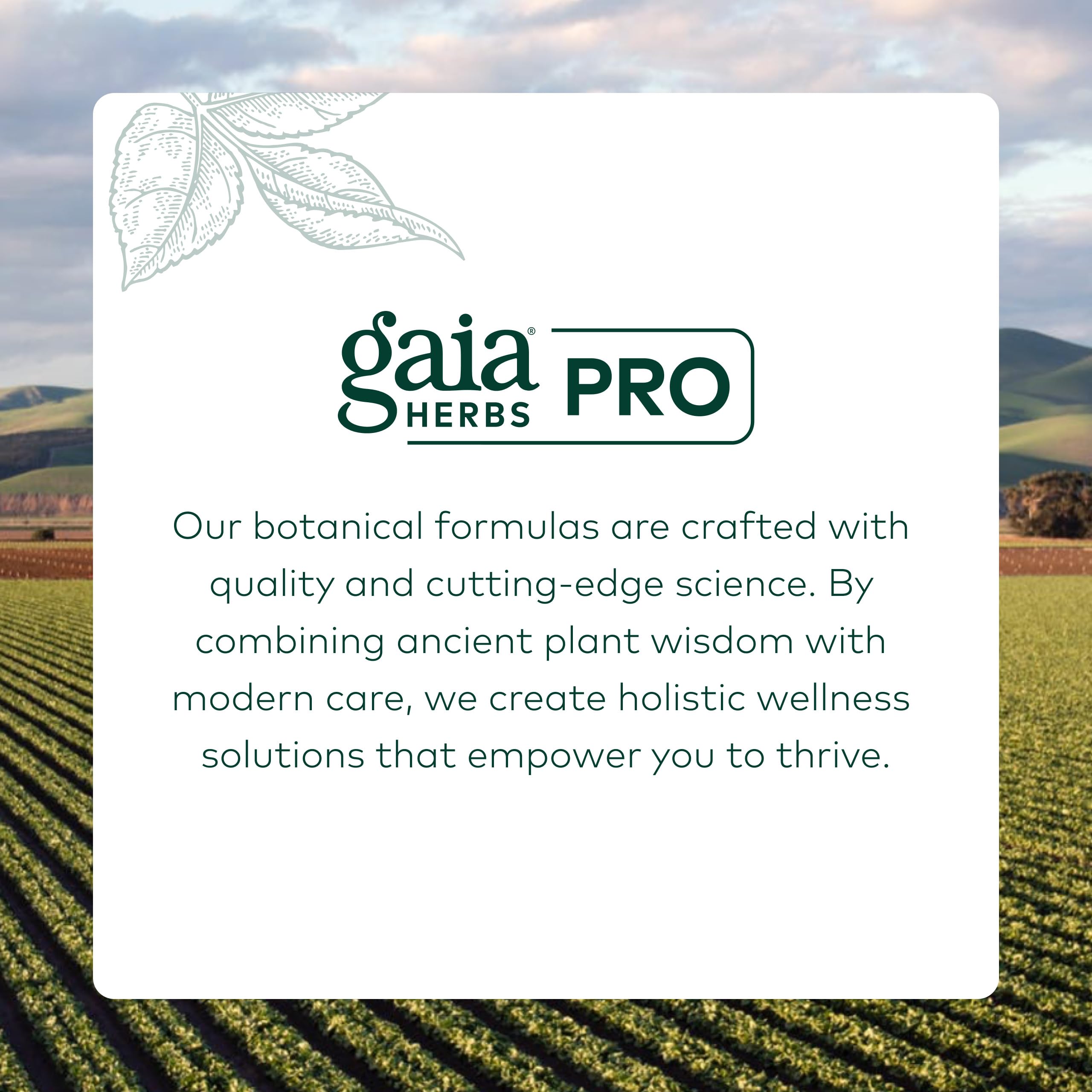 GAIA HERBS PRO Black Elderberry Pro - Supports Immune System Health* - Concentrated Organic Black Elderberry Extract - Vegan - 120 Capsules (60 Servings) - Image 7