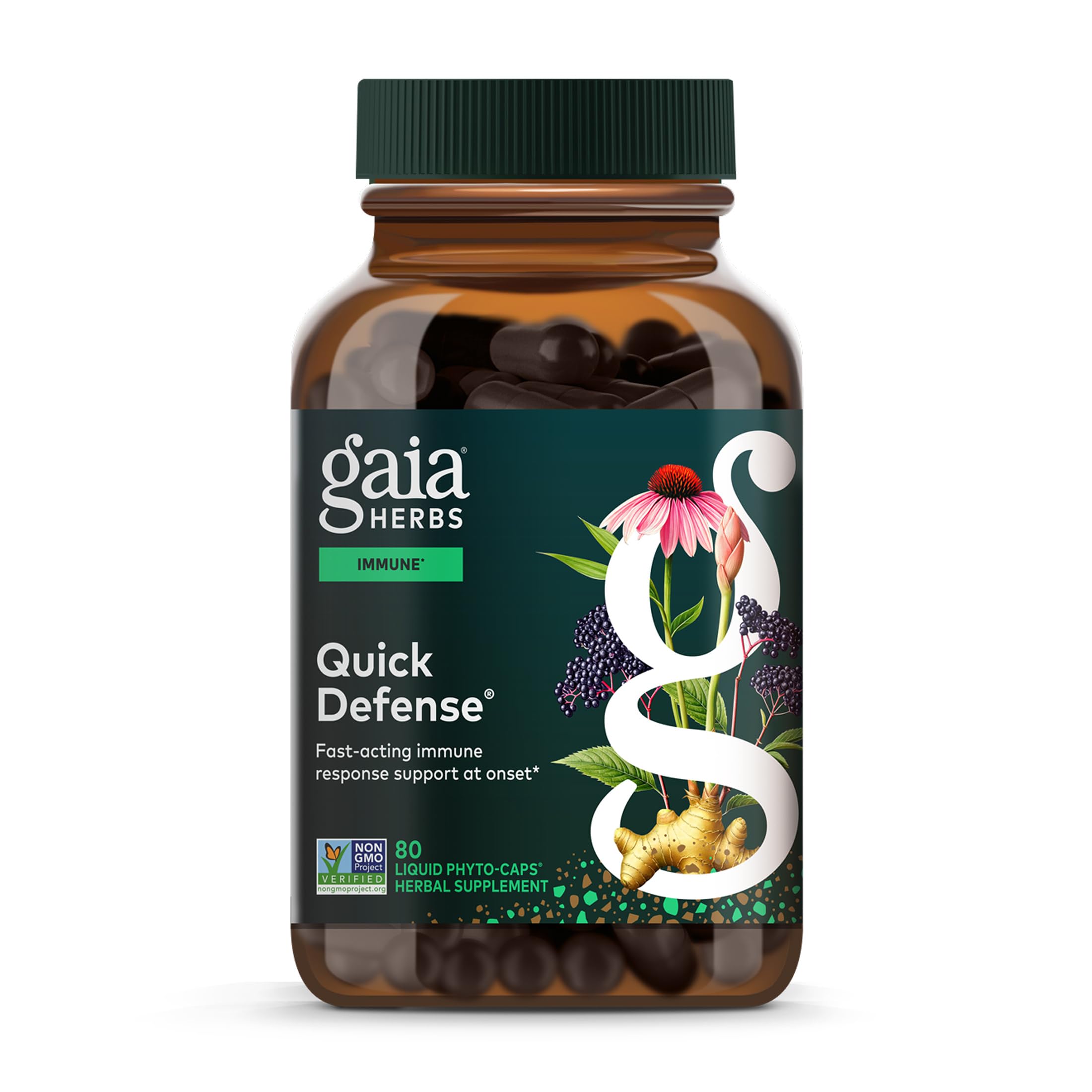 Black Elderberry