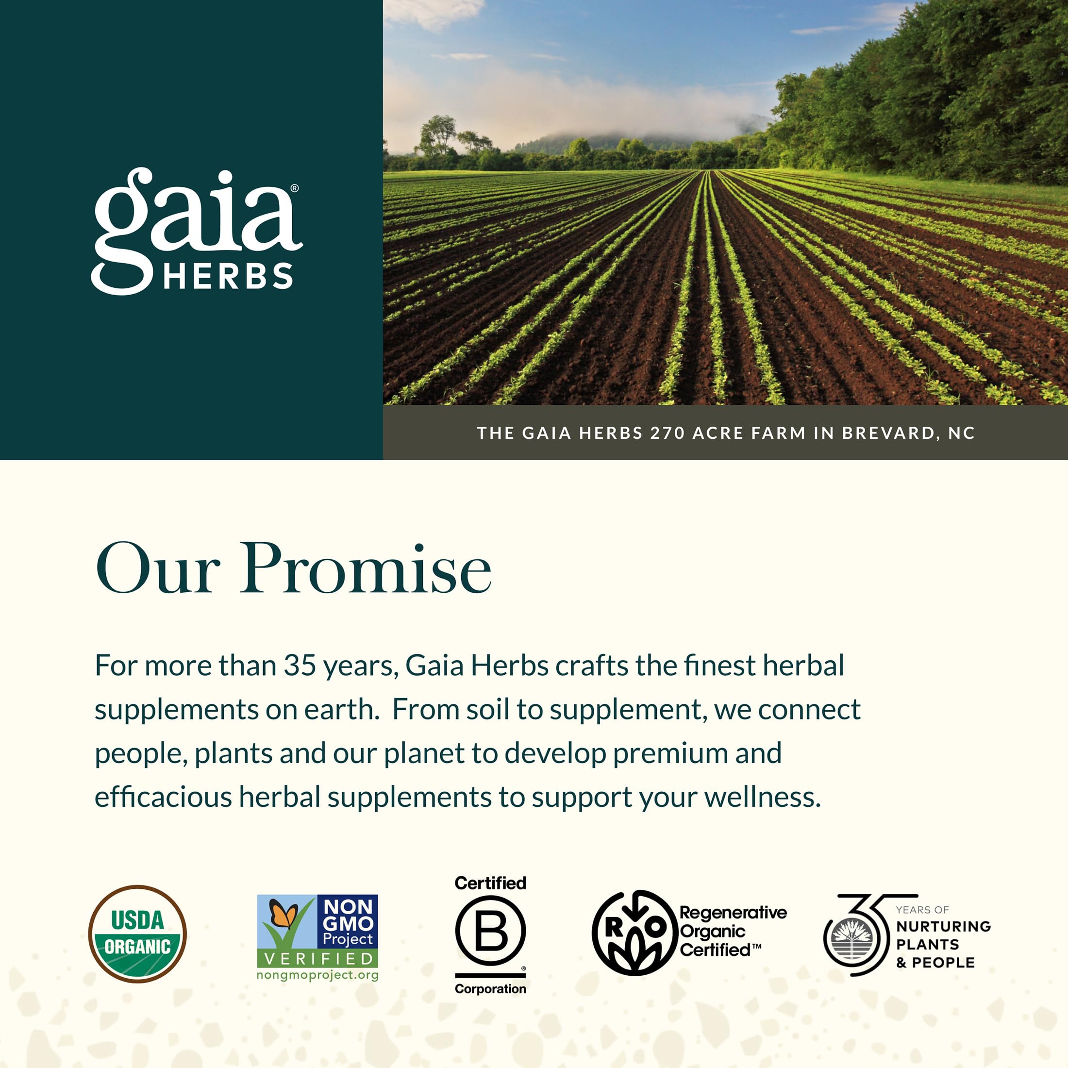 Gaia Herbs Saw Palmetto - Supports Healthy Prostate Function & Urinary Health - Saw Palmetto & Sunflower Seed Lecithin to Support Men's Health* - 60 Vegan Liquid Phyto-Caps (60 Servings) - Image 7